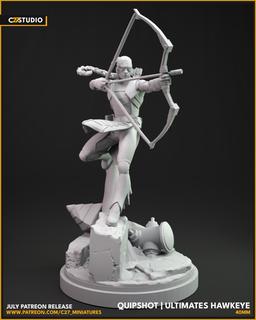 Figure 68009D